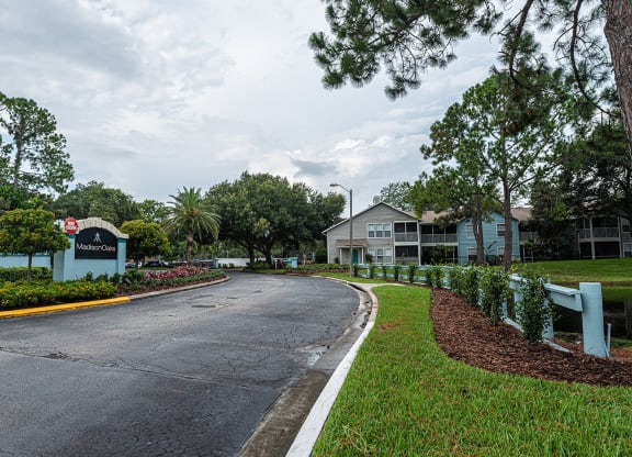 a street in a neighborhood with houses and trees at Madison Oaks Apartment Homes, LLC, Palm Harbor, FL