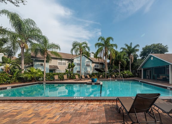 a swimming pool with chairs and palm trees in front of a house at Madison Oaks Apartment Homes, LLC, Palm Harbor, 34684