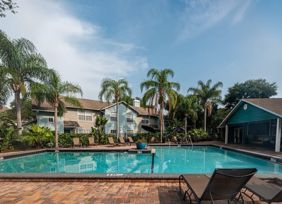 a swimming pool with palm trees in front of a house at Madison Oaks Apartment Homes, LLC, Florida