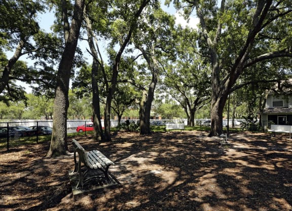 a picnic area with a bench and trees at Madison Oaks Apartment Homes, LLC, Palm Harbor Florida