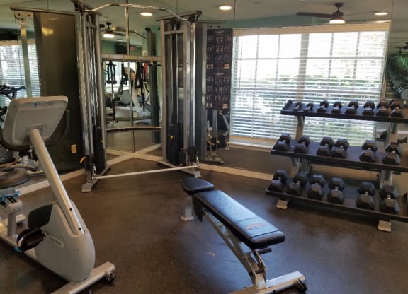 the gym is equipped with weights and cardio equipment at Madison Oaks Apartment Homes, LLC, Palm Harbor Florida