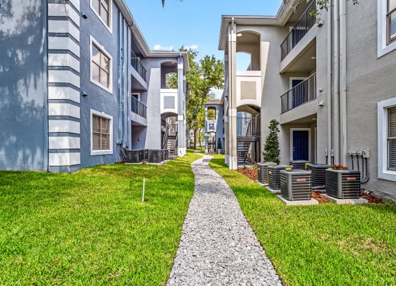 the preserve at ballantyne commons apartments courtyard with grass at Reserve at Temple Terrace, Temple Terrace