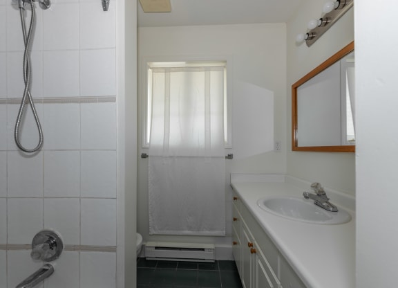 a bathroom with a shower and a sink