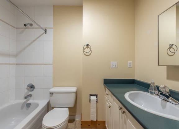 a bathroom with a sink toilet and bathtub