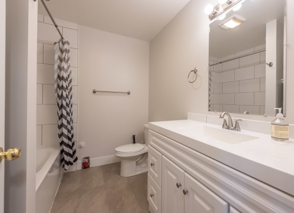 a bathroom with a sink and a toilet