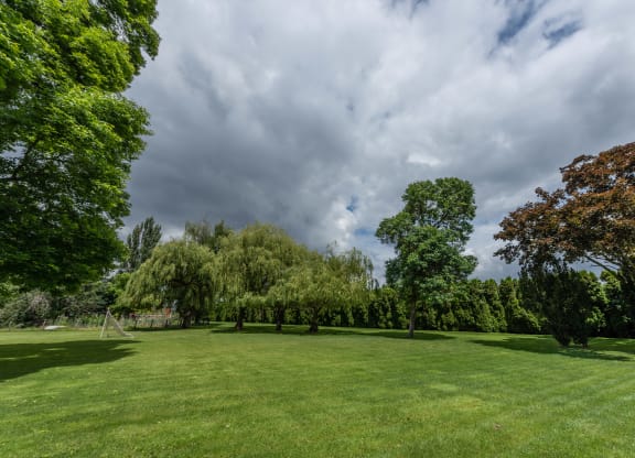 a large grassy field with trees in the background