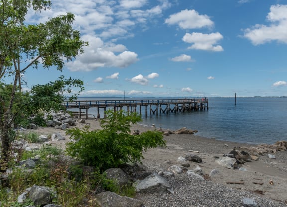a view of the pier from the beach