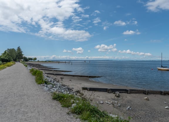 a view of the water from the beach