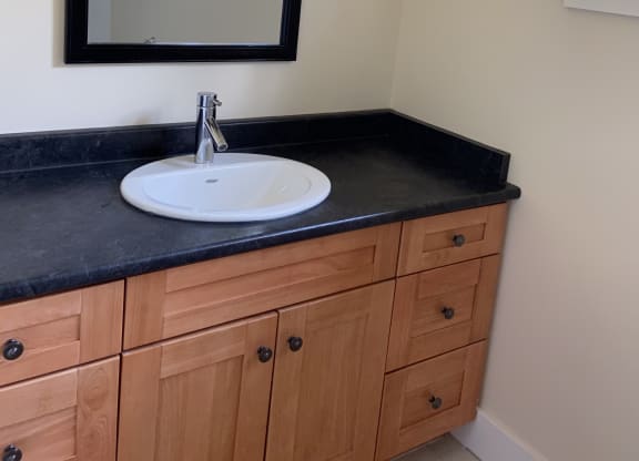a bathroom with a sink and a mirror
