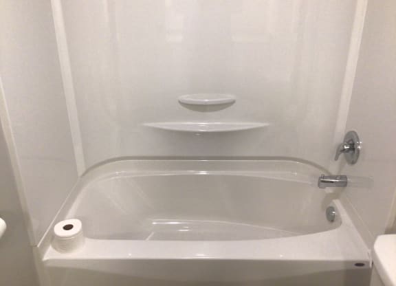 a bathroom with a toilet paper roll on the edge of the tub