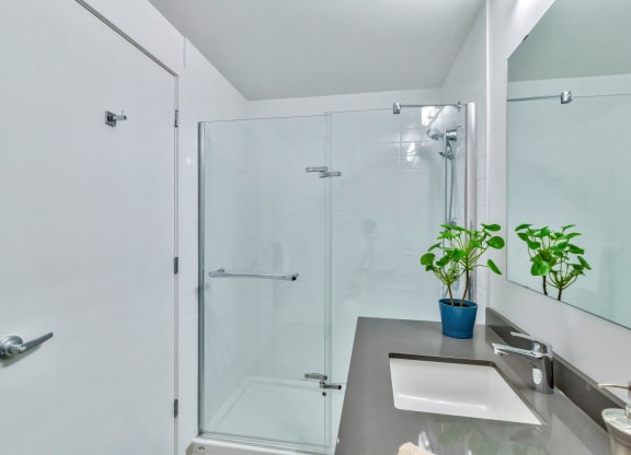 a bathroom with a shower and a sink and a plant