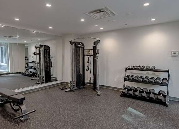 the gym is fully equipped with weights and cardio equipment