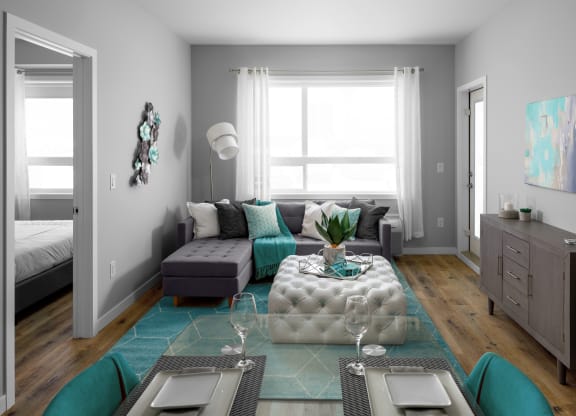 a living room with gray walls and a teal rug