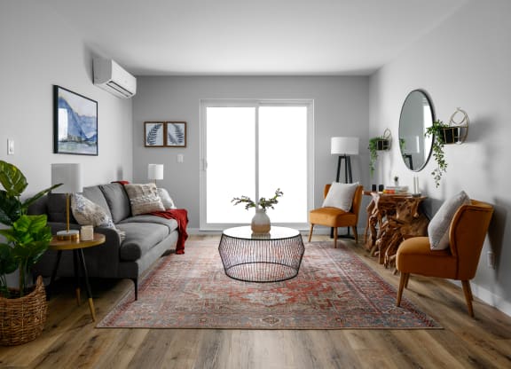 a living room with gray walls and a red rug