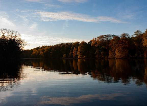 A serene lake surrounded by trees with their reflections visible on the water's surface.