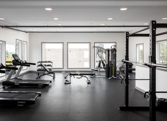 a large fitness room with treadmills and other exercise equipment