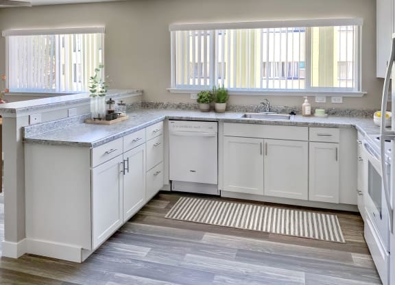 All new kitchen at Regency Park, Nevada