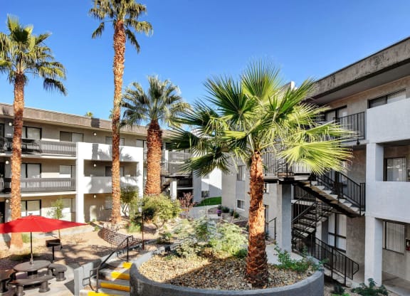 a view of a courtyard with palm trees in the middle at Evoq Apartment Homes, Nevada  