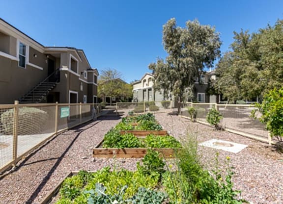 Courtyard Garden at Silver Creek Apartments, Las Vegas, Nevada