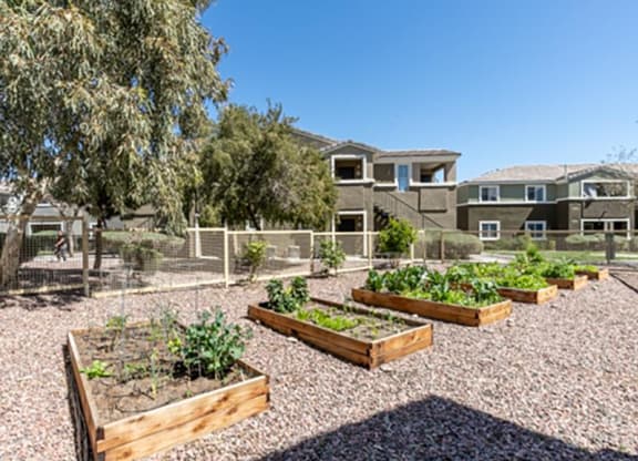 Garden at Silver Creek Apartments, Nevada