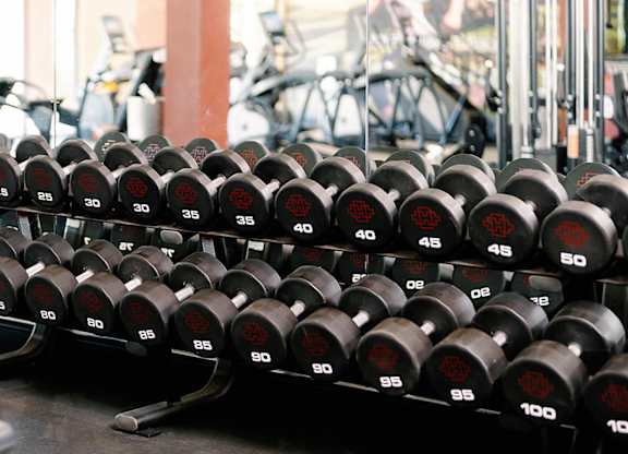 A rack of black dumbbells with white numbers ranging from 25 to 100.