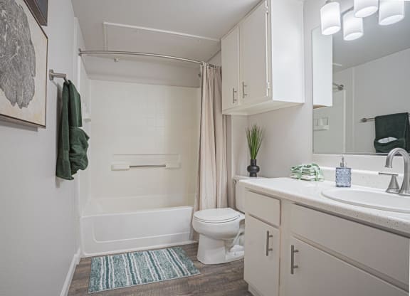 a bathroom with a shower and a sink and a toilet at Austin Crest Apartments, Nevada