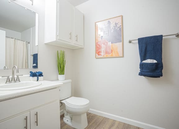 a bathroom with a sink toilet and a mirror at Austin Crest Apartments, Reno, 89523