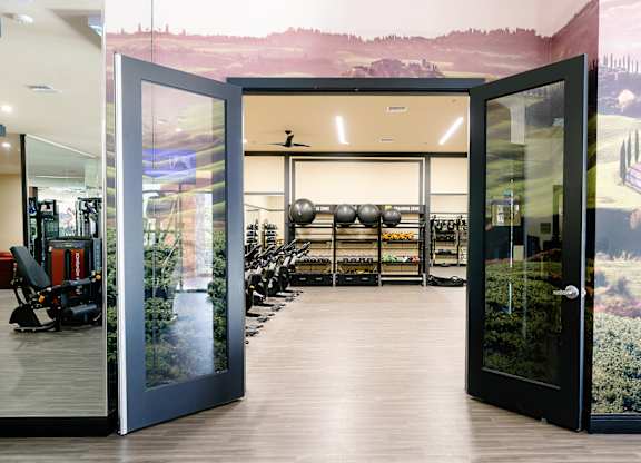 A gym with a row of exercise bikes and a row of treadmills.
