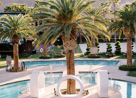 A pool surrounded by palm trees and white furniture.