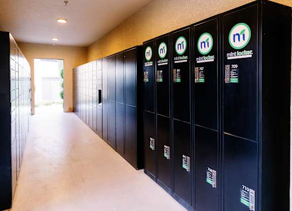 A row of black lockers with the Mint logo on them.