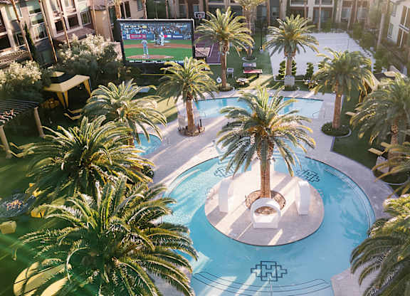 A pool surrounded by palm trees and a large screen TV.