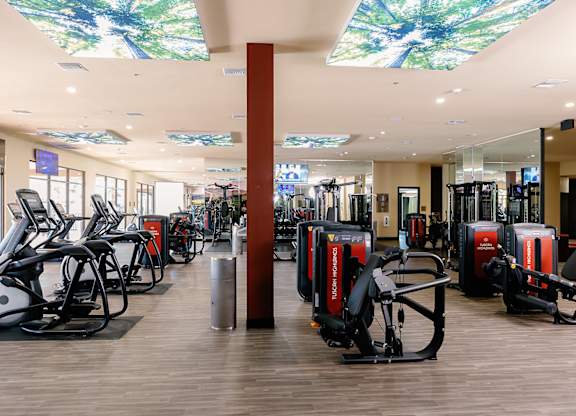 A gym with a variety of equipment including treadmills, stationary bikes, and weight machines.