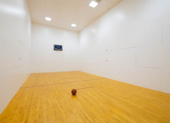 a squash court with a ball on the floor at Monroeville Apartments, Monroeville, 15146
