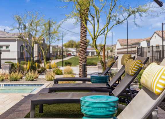 A poolside area with lounge chairs and a palm tree.