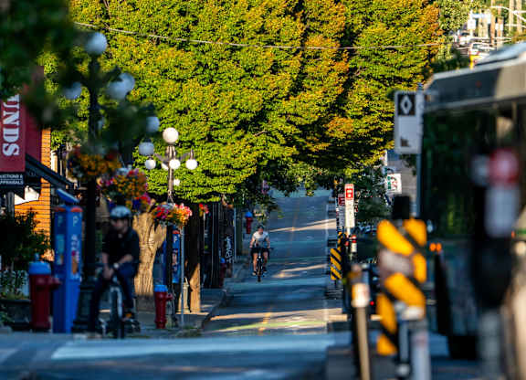 A cyclist rides down a tree-lined street.