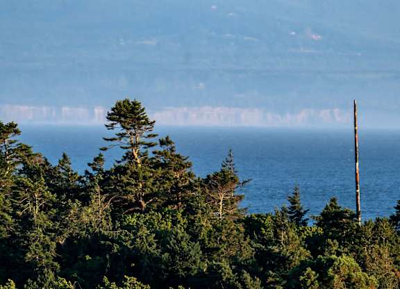 A bird is flying over a body of water with trees and mountains in the background.