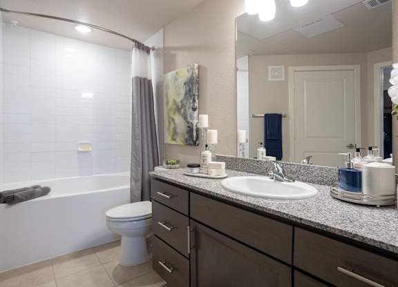 a bathroom with a sink and a toilet and a shower