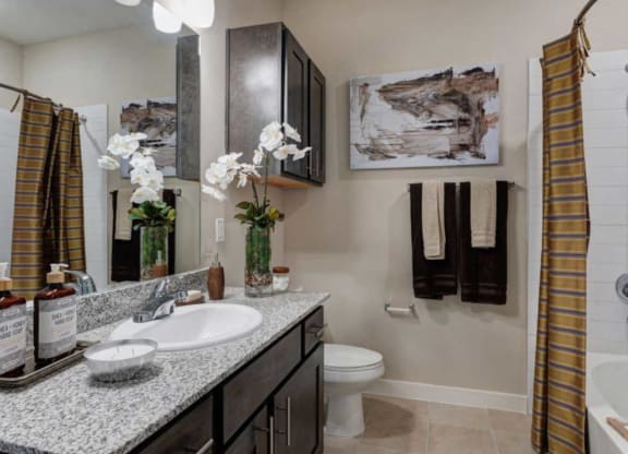 a bathroom with a sink and a toilet and a mirror