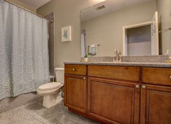 A bathroom with a toilet, sink, and shower curtain.