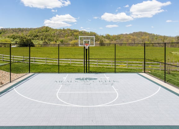 a basketball court with a basketball hoop and a view of a field and trees