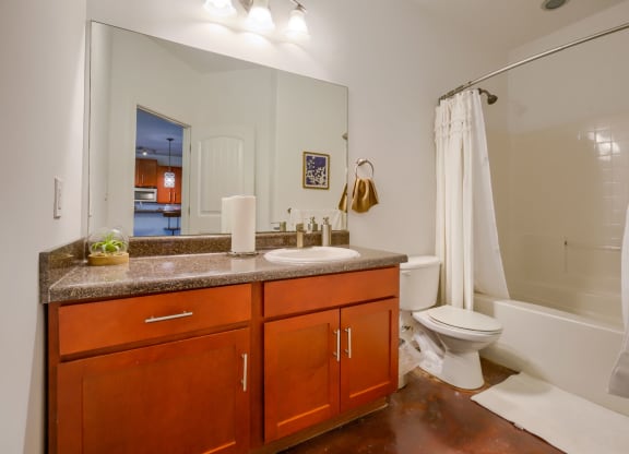 a bathroom with a sink and a toilet