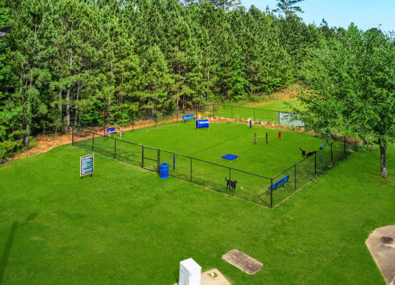a view of the dog park from above