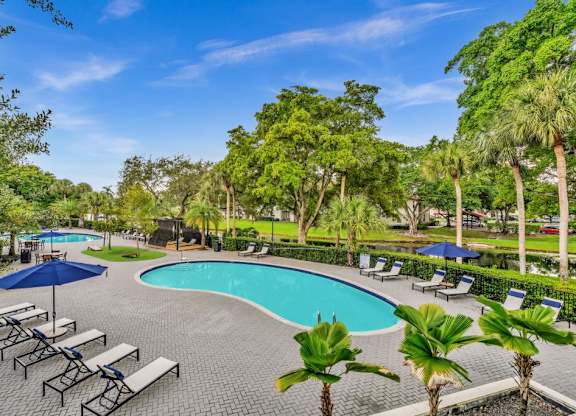 A pool surrounded by palm trees and lounge chairs.