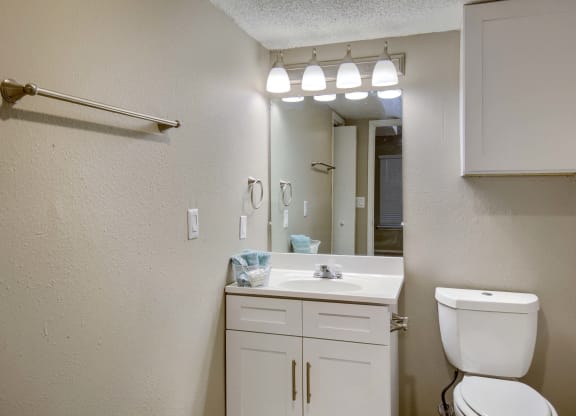 a bathroom with a sink toilet and mirror