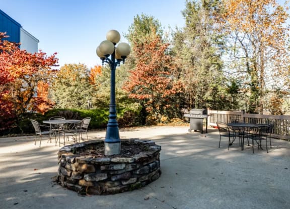 Picnic grove at Bon Vista