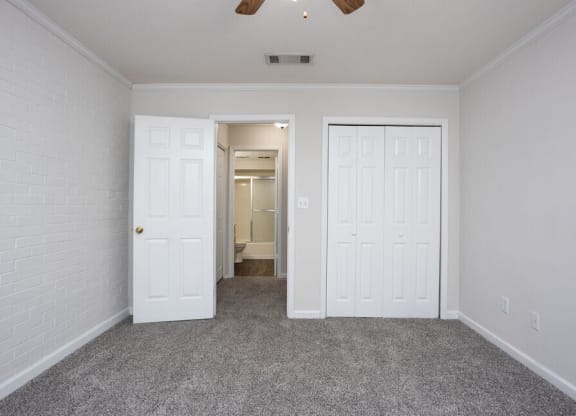 a bedroom with two closets and a carpeted floor