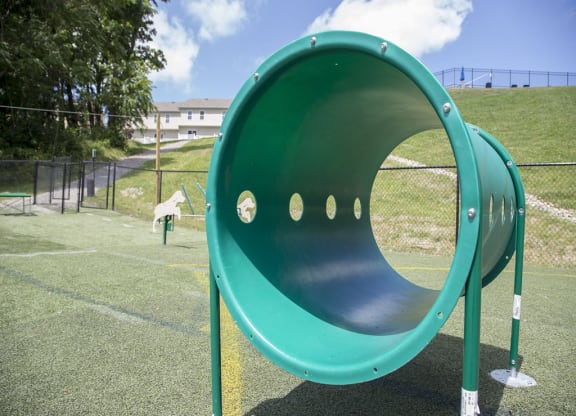 a green playground slide with a dog in the background