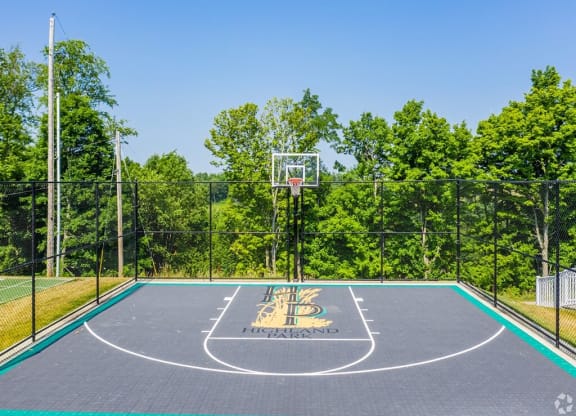 a basketball court in a park with trees