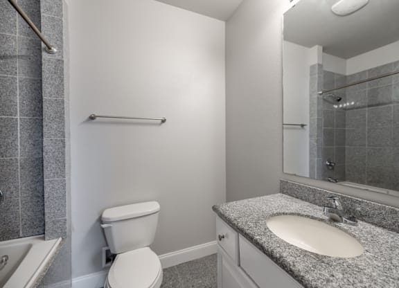 a bathroom with a toilet and a sink and a mirror