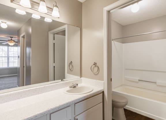 a bathroom with a sink and a mirror and a shower and a toilet